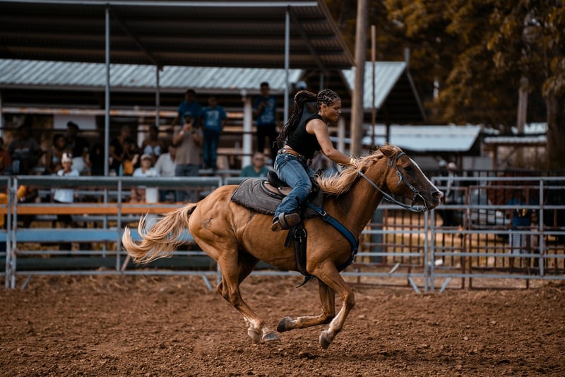 Wild West Cowboys